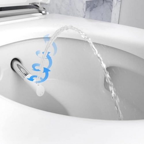 Shower Toilets